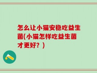 怎么让小猫安稳吃益生菌(小猫怎样吃益生菌才更好？)