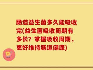 肠道益生菌多久能吸收完(益生菌吸收周期有多长？掌握吸收周期，更好维持肠道健康)