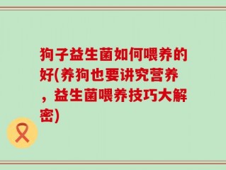 狗子益生菌如何喂养的好(养狗也要讲究营养，益生菌喂养技巧大解密)