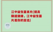 江中益生菌素片(提高肠道健康，江中益生菌片是你的首选)