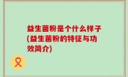 益生菌粉是个什么样子(益生菌粉的特征与功效简介)