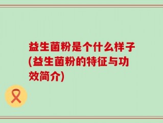 益生菌粉是个什么样子(益生菌粉的特征与功效简介)