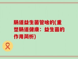 肠道益生菌管啥的(重塑肠道健康：益生菌的作用简析)