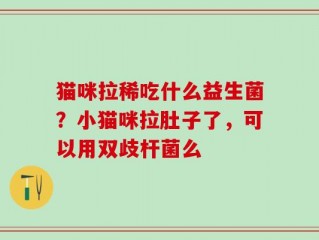 猫咪拉稀吃什么益生菌？小猫咪拉肚子了，可以用双歧杆菌么