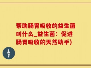 帮助肠胃吸收的益生菌叫什么_益生菌：促进肠胃吸收的天然助手)