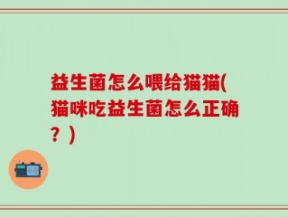 益生菌怎么喂给猫猫(猫咪吃益生菌怎么正确？)
