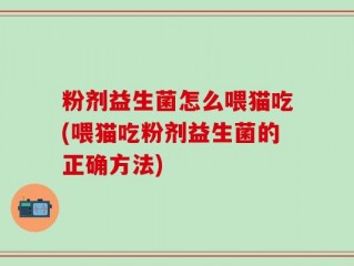 粉剂益生菌怎么喂猫吃(喂猫吃粉剂益生菌的正确方法)