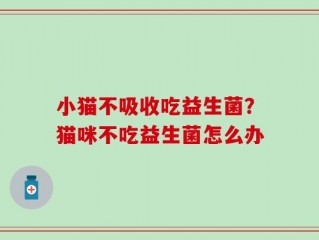 小猫不吸收吃益生菌？猫咪不吃益生菌怎么办
