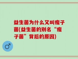 益生菌为什么又叫瘦子菌(益生菌的别名“瘦子菌”背后的原因)
