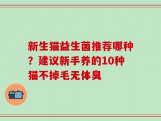 新生猫益生菌推荐哪种？建议新手养的10种猫不掉毛无体臭