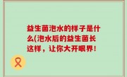 益生菌泡水的样子是什么(泡水后的益生菌长这样，让你大开眼界！