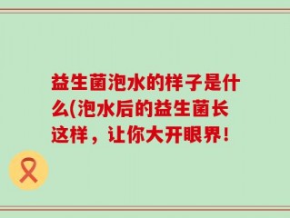 益生菌泡水的样子是什么(泡水后的益生菌长这样，让你大开眼界！