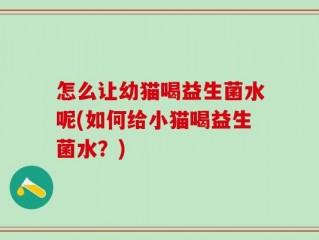 怎么让幼猫喝益生菌水呢(如何给小猫喝益生菌水？)