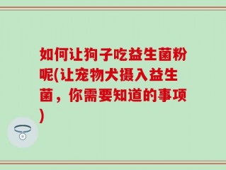 如何让狗子吃益生菌粉呢(让宠物犬摄入益生菌，你需要知道的事项)