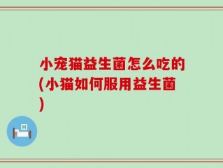 小宠猫益生菌怎么吃的(小猫如何服用益生菌)