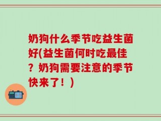 奶狗什么季节吃益生菌好(益生菌何时吃最佳？奶狗需要注意的季节快来了！)