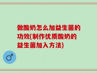做酸奶怎么加益生菌的功效(制作优质酸奶的益生菌加入方法)