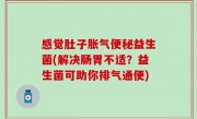 感觉肚子胀气便秘益生菌(解决肠胃不适？益生菌可助你排气通便)