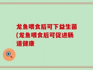 龙鱼喂食后可下益生菌(龙鱼喂食后可促进肠道健康