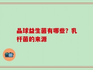 晶球益生菌有哪些？乳杆菌的来源