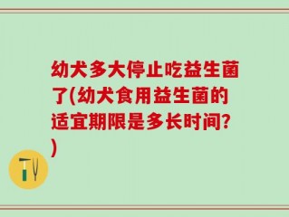 幼犬多大停止吃益生菌了(幼犬食用益生菌的适宜期限是多长时间？)