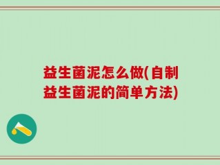益生菌泥怎么做(自制益生菌泥的简单方法)