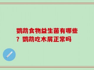 鹦鹉食物益生菌有哪些？鹦鹉吃木屑正常吗