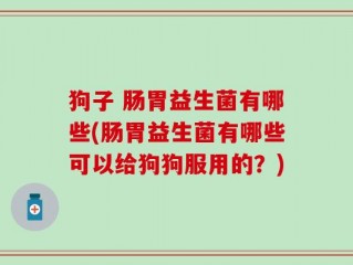 狗子 肠胃益生菌有哪些(肠胃益生菌有哪些可以给狗狗服用的？)