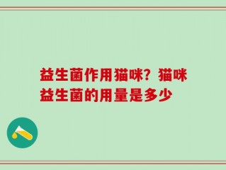 益生菌作用猫咪？猫咪益生菌的用量是多少