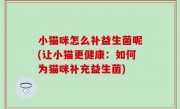 小猫咪怎么补益生菌呢(让小猫更健康：如何为猫咪补充益生菌)