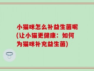 小猫咪怎么补益生菌呢(让小猫更健康：如何为猫咪补充益生菌)