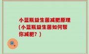 小蓝瓶益生菌减肥原理(小蓝瓶益生菌如何帮你减肥？)