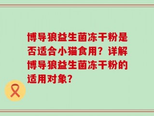 博导狼益生菌冻干粉是否适合小猫食用？详解博导狼益生菌冻干粉的适用对象？