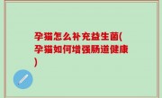 孕猫怎么补充益生菌(孕猫如何增强肠道健康)