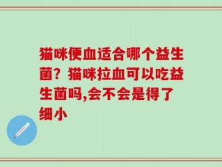 猫咪便血适合哪个益生菌？猫咪拉血可以吃益生菌吗,会不会是得了细小