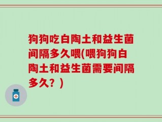 狗狗吃白陶土和益生菌间隔多久喂(喂狗狗白陶土和益生菌需要间隔多久？)