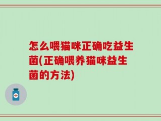 怎么喂猫咪正确吃益生菌(正确喂养猫咪益生菌的方法)