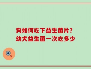 狗如何吃下益生菌片？幼犬益生菌一次吃多少