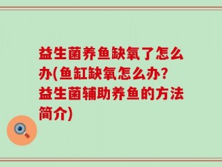 益生菌养鱼缺氧了怎么办(鱼缸缺氧怎么办？益生菌辅助养鱼的方法简介)
