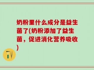 奶粉里什么成分是益生菌了(奶粉添加了益生菌，促进消化营养吸收)