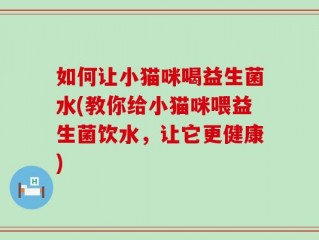 如何让小猫咪喝益生菌水(教你给小猫咪喂益生菌饮水，让它更健康)