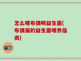 怎么喂布偶喝益生菌(布偶猫的益生菌喂养指南)