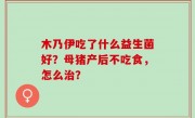 木乃伊吃了什么益生菌好？母猪产后不吃食，怎么治？