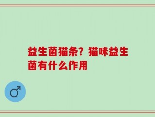益生菌猫条？猫咪益生菌有什么作用