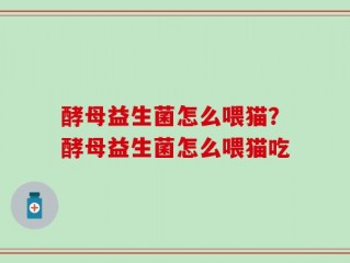 酵母益生菌怎么喂猫？酵母益生菌怎么喂猫吃