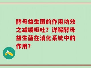 酵母益生菌的作用功效之减缓呕吐？详解酵母益生菌在消化系统中的作用？