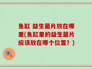 鱼缸 益生菌片放在哪里(鱼缸里的益生菌片应该放在哪个位置？)