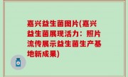 嘉兴益生菌图片(嘉兴益生菌展现活力：照片流传展示益生菌生产基地新成果)