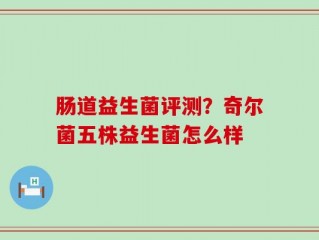 肠道益生菌评测？奇尔菌五株益生菌怎么样