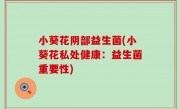 小葵花阴部益生菌(小葵花私处健康：益生菌重要性)